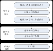 精益六西格瑪實施組織架構(gòu)和職能職責(zé)