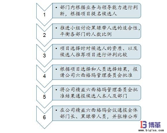 六西格瑪黑帶、綠帶人員的選擇