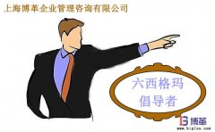 六西格瑪管理中倡導(dǎo)者的職責(zé)是什么？