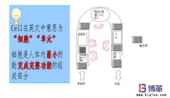 單元生產(chǎn)線(xiàn)如何建立?